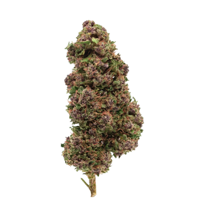 Dark Knight OG 27% CBN