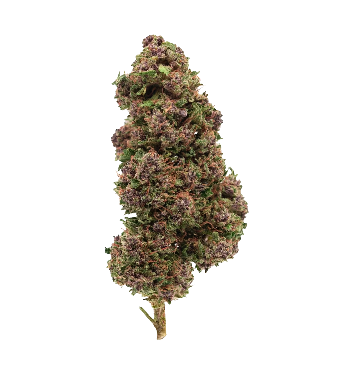 Dark Knight OG 27% CBN