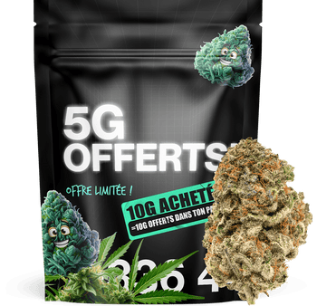 5G Diamond KUSH CBD 💎 OFFERT