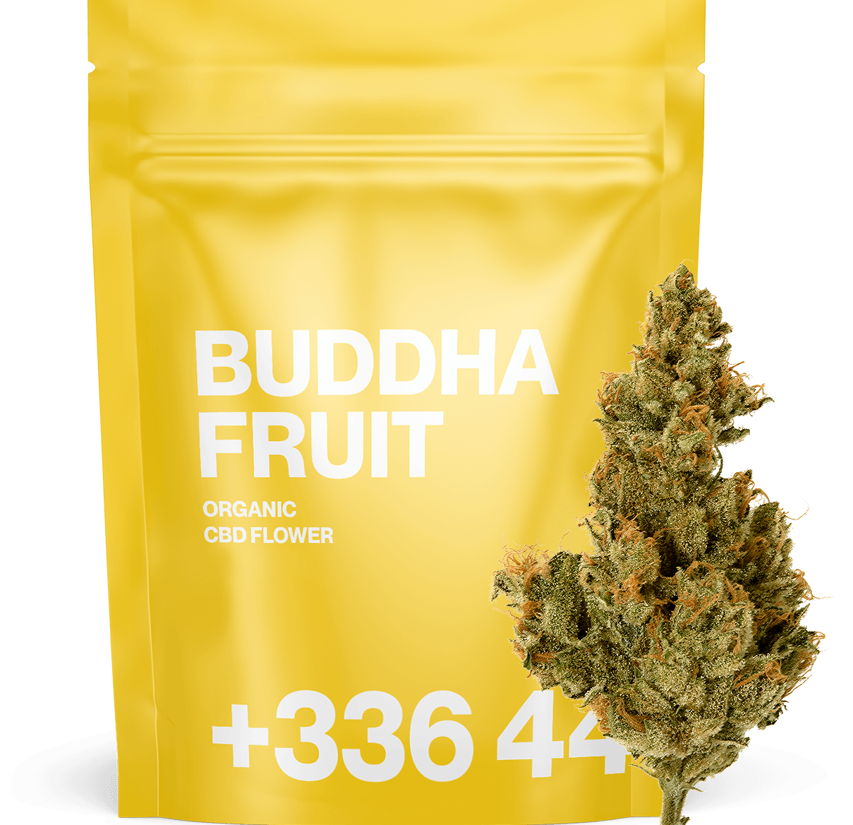 Buddha Fruit - Fleur CBD | Tealerlab