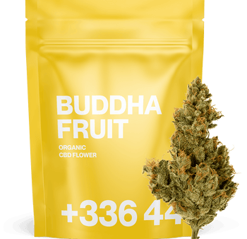 Buddha Fruit - Fleur CBD | Tealerlab