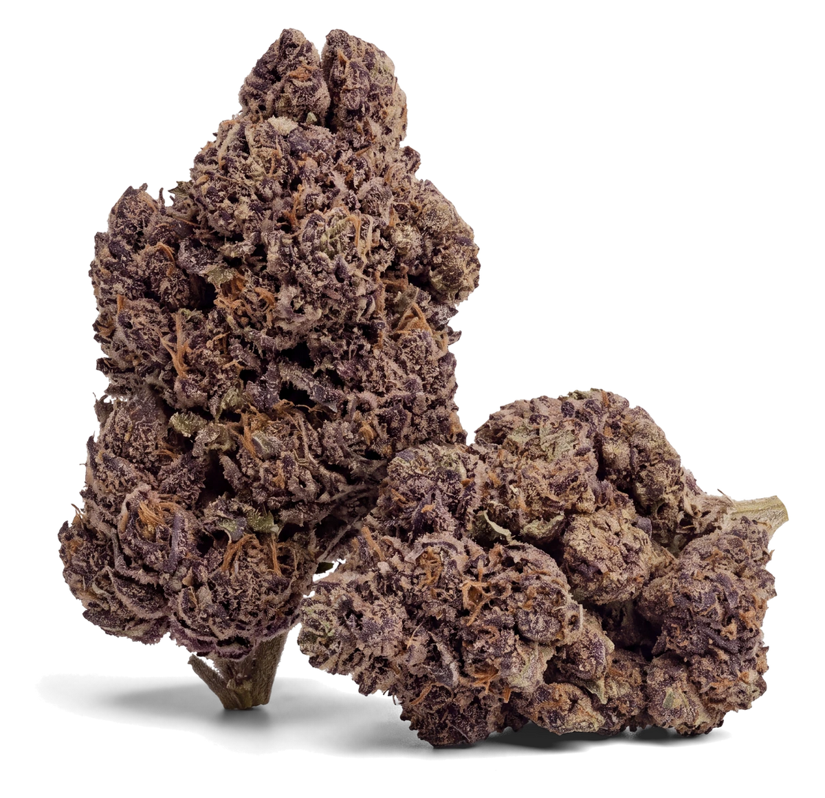 Calilab Blueberry Muffin 30% CBD