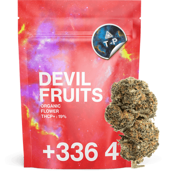 Devil Fruit - Fleur THCP+ | Tealer420