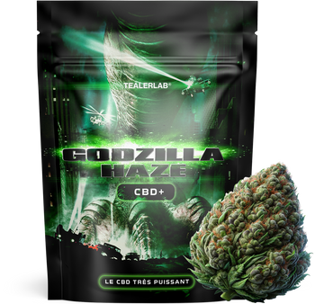 Godzilla Kush - CBD+ 🦖