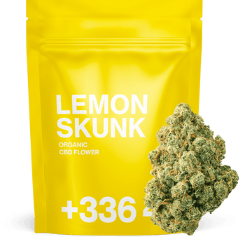 Lemon Skunk CBD 🍋