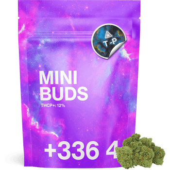 FREE - Mini Bud THCP+ 10G