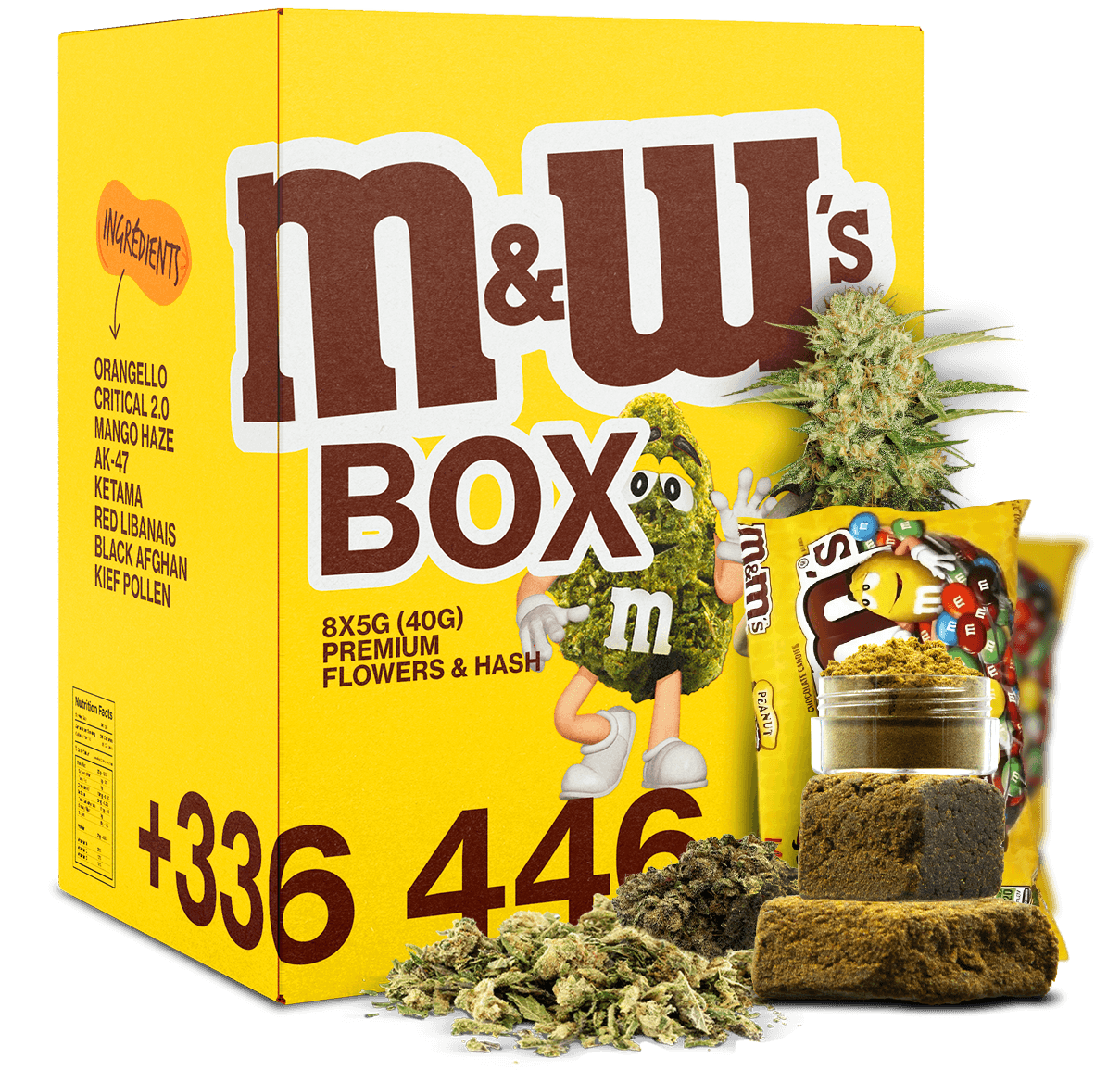 M&W'S BOX 40G H4CBD ⛱️
