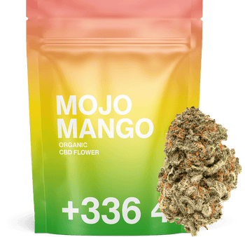 Mojo Mango - Fleur CBD | Tealerlab