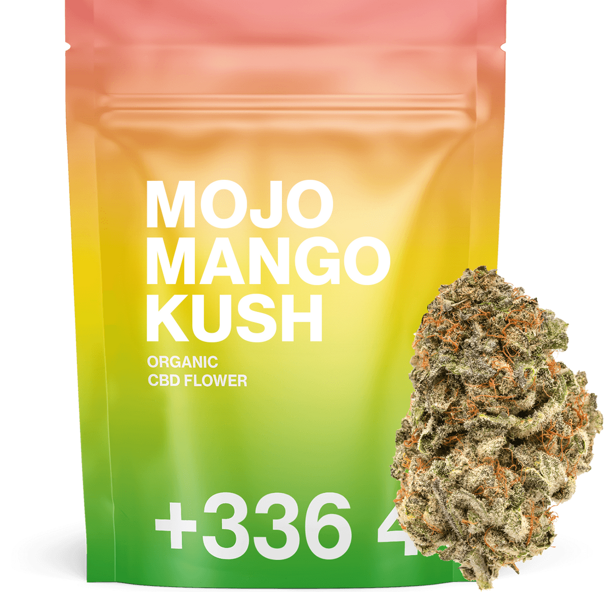 Mojo Mango Kush - Fleur CBD
