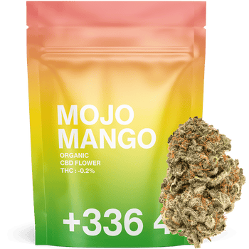 SAMPLE Mojo Mango CBD 2.0 🥭