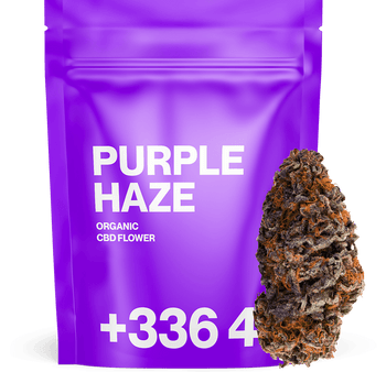 Purple Haze - Fleur CBD | Tealerlab