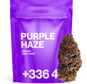Purple Haze - Fleur CBD | Tealerlab — vue alternative