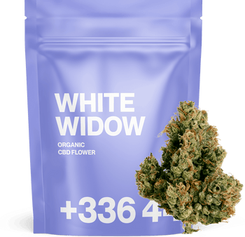 White Widow - Fleur CBD | Tealerlab