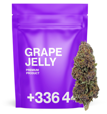Grape Jelly 🍇
