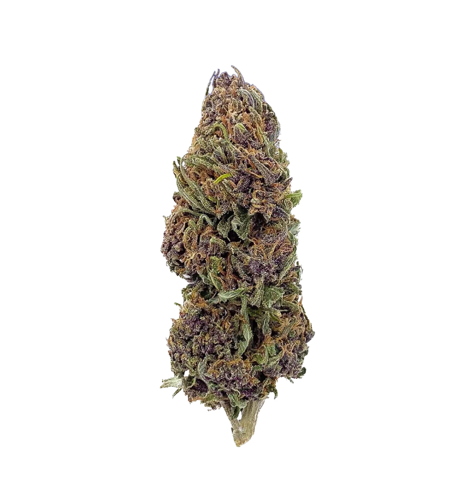 Grape Jelly 🍇