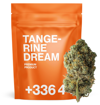 Tangerine Dream 🍊