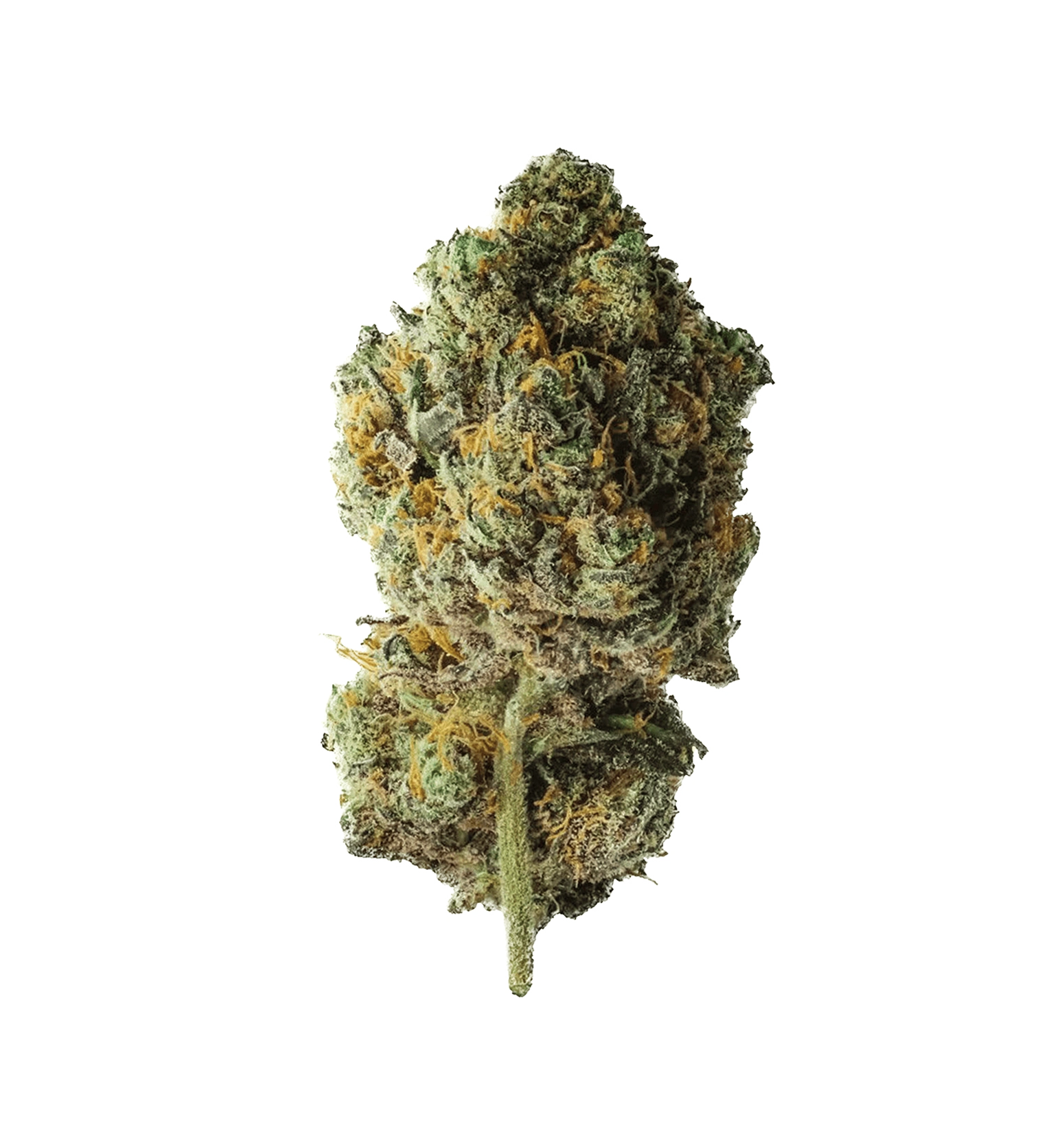 Tangerine Dream 🍊