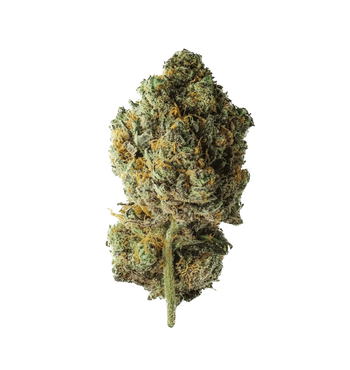 Tangerine Dream 🍊