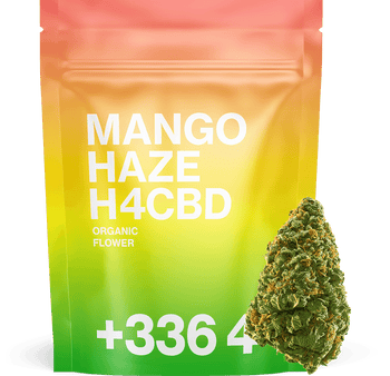 Mango Haze H4CBD
