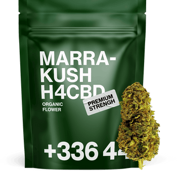 Marra-Kush H4CBD 🥦
