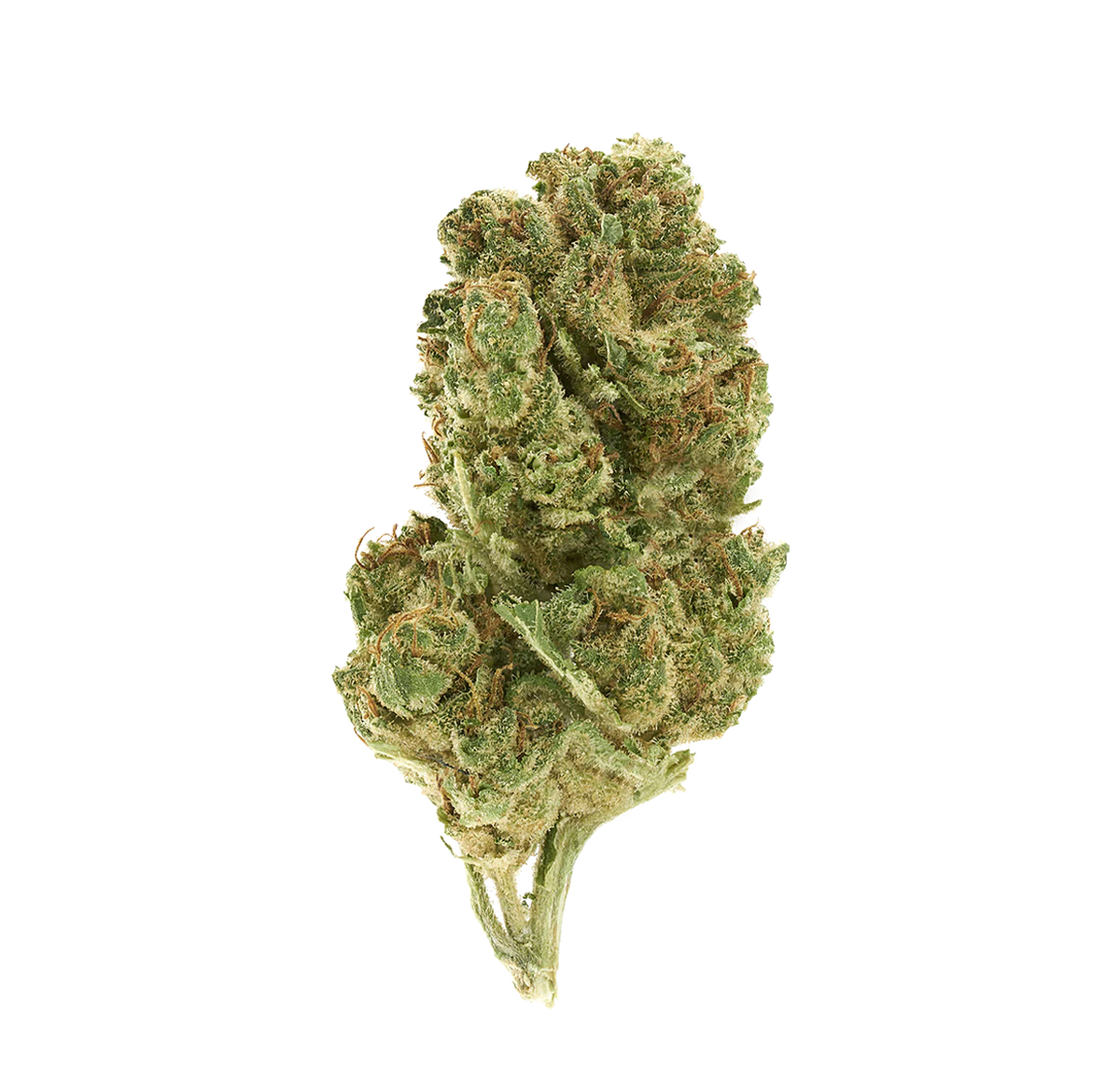French Summer Haze - Fleur CBD🇫🇷