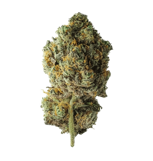 Billy Kimber Kush CBD+ — vue alternative