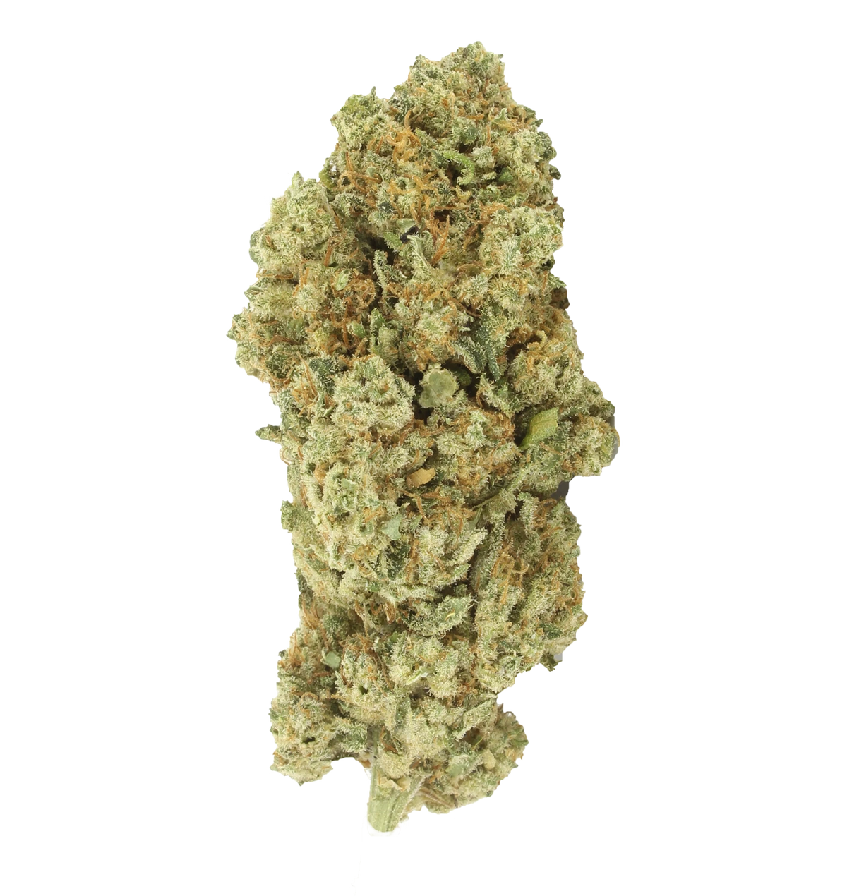 Fleur du Démon - CBD+ 😈