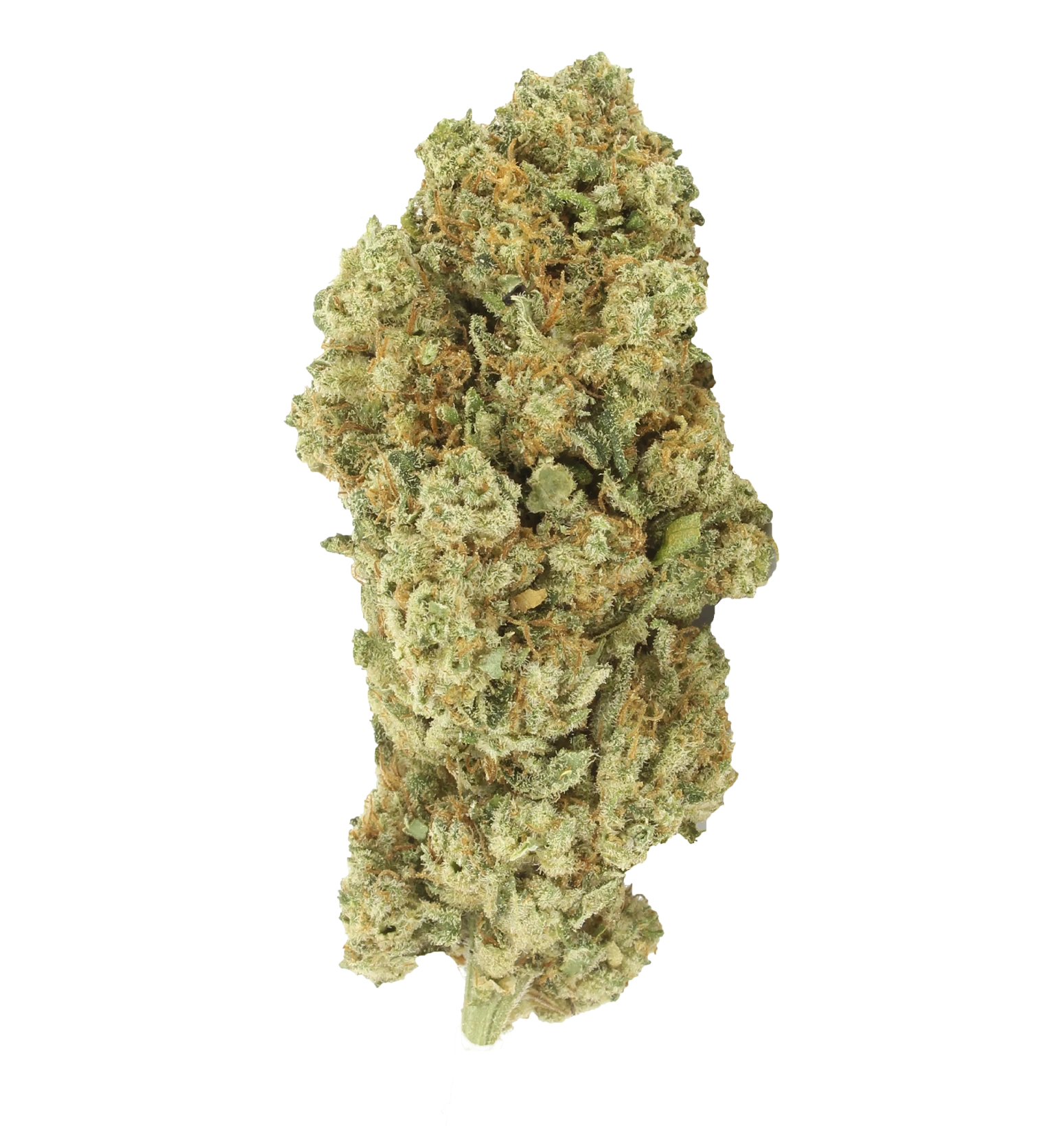 Fleur du Démon - CBD+ 😈