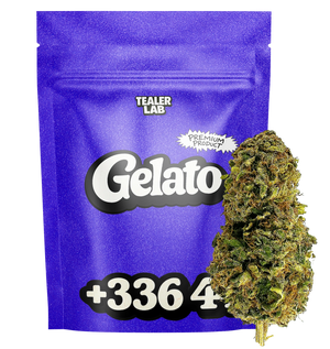Gelato CBD - Fleur CBD 🧿 — vue alternative