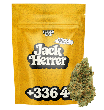 Jack Herrer CBD