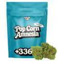Pop Corn Amnesia - Fleur CBD 🍿