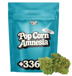 Pop Corn Amnesia - Fleur CBD 🍿