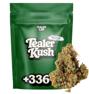 TEALER Kush - Fleur CBD 🍁 — vue alternative