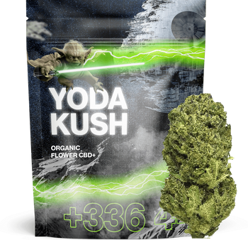 Yoda Kush- CBD+ 🐸