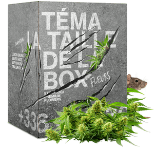 BOX DU RAT 20G FLEURS CBD 🐭