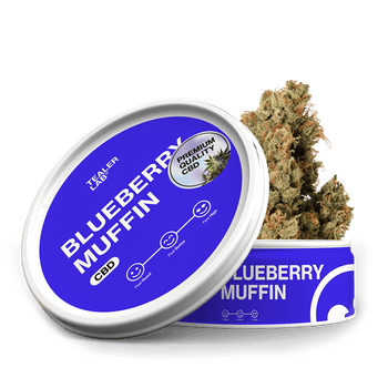 Blueberry Muffin - CaliLab CBD | Tealerlab