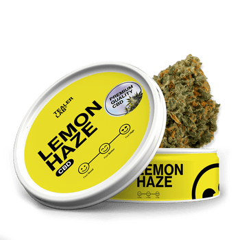Lemon Haze Calilab - Fleur CBD | Tealerlab