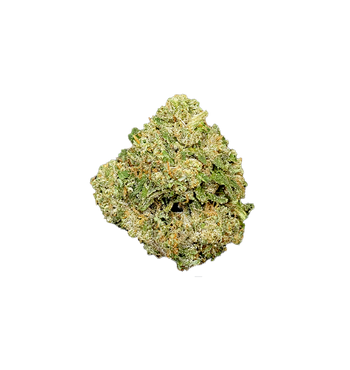 KENNY KUSH CBD+