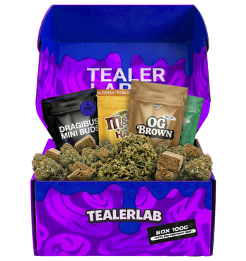 TEALER BOX 100G