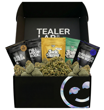 Tealer Box 50G