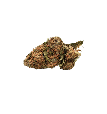 New Orange THC+
