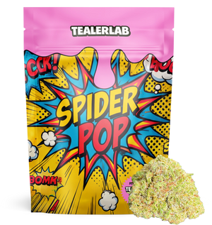 Spider Pop 19% CBX+ — vue alternative