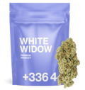 White Widow - Fleur CBD 👻