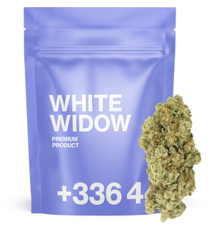 White Widow - Fleur CBD 👻 — vue alternative