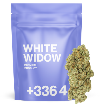 White Widow - Fleur CBD 👻