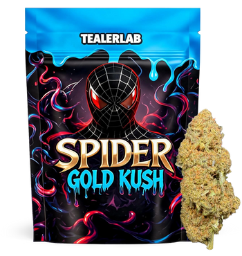 Spider Gold Kush 25% CBX+