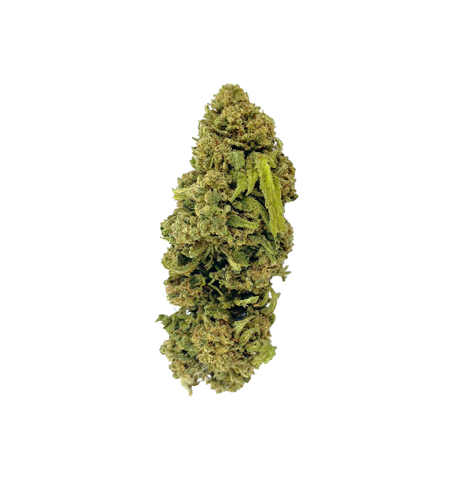 Wolverine OG CBD+