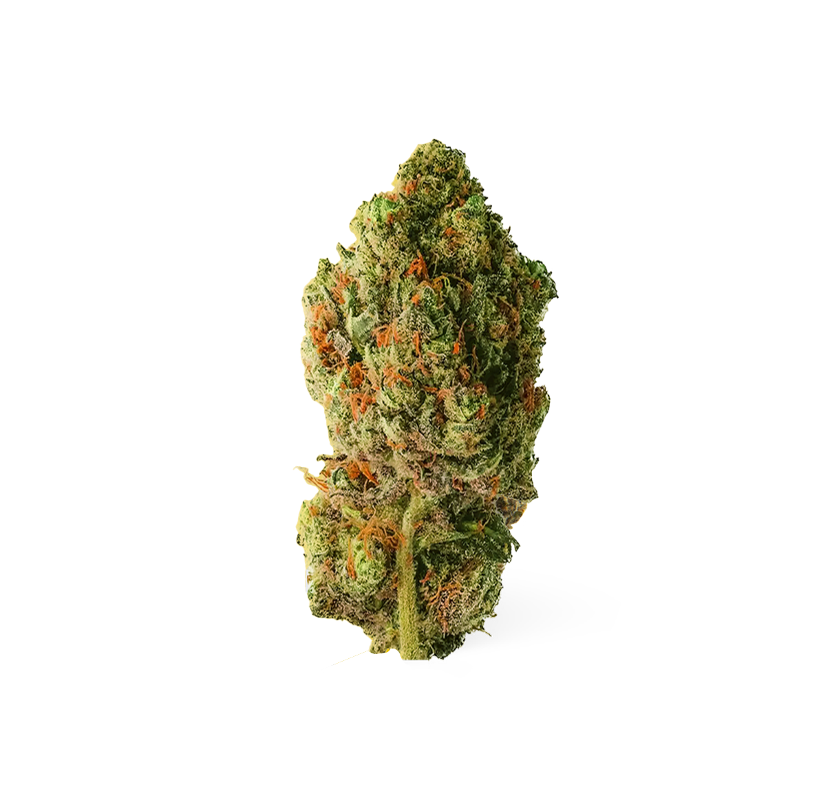 Buddha Fruit - CBD Flower 🧘