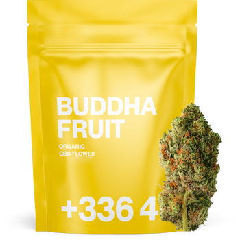 Buddha Fruit - CBD Flower 🧘