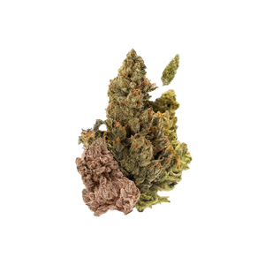 BOX DECOUVERTE 30G CBD 🌿 — vue alternative
